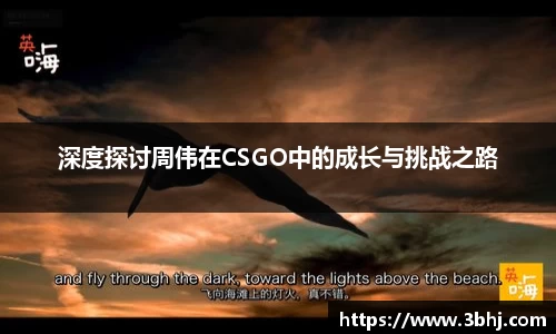 深度探讨周伟在CSGO中的成长与挑战之路