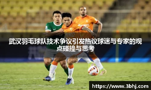武汉羽毛球队技术争议引发热议球迷与专家的观点碰撞与思考